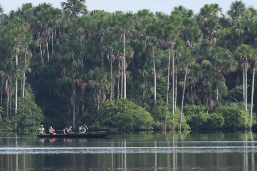 Puerto Maldonado: Sandoval Lake Full-Day Trip with Canoeing - Reaching Tambopata by riverboat