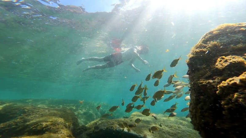 Puerto Mogán: Guided Adventure Kayak Tour in Caves & Snorkel - Getting ready for the 4-kilometer route