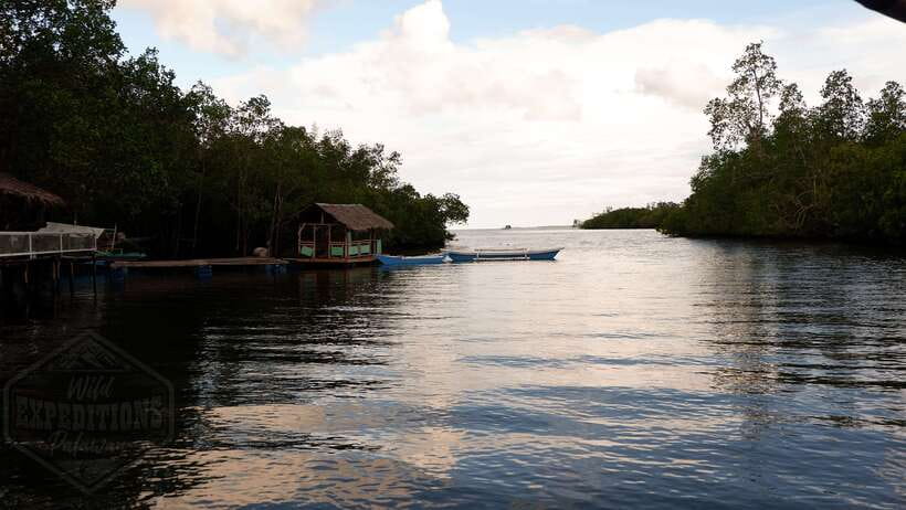 Puerto Princesa: Firefly Watching Paddle Boat Tour & Dinner - Why the firefly river trip is worth your evening
