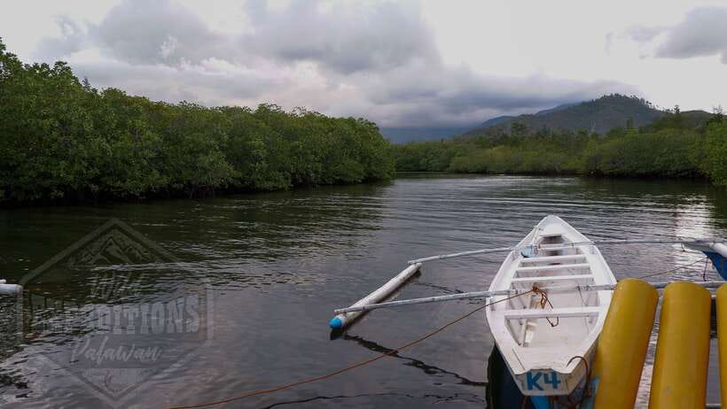 Puerto Princesa: Firefly Watching Paddle Boat Tour & Dinner - From Puerto Princesa hotels to Baywalk