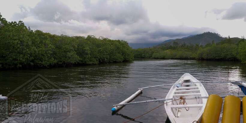 Puerto Princesa: Firefly Watching Paddle Boat Tour & Dinner - The paddle boat and the firefly banks