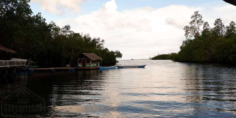 Puerto Princesa: Firefly Watching Paddle Boat Tour & Dinner - How the timing works from 5:00 to 10:00 pm