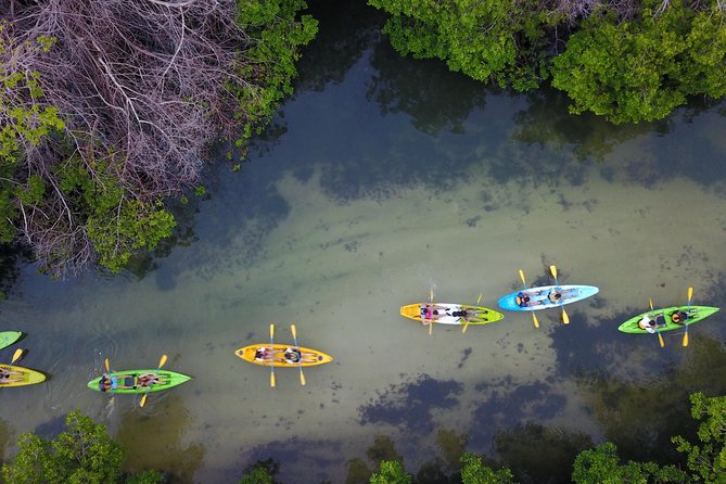 Puerto Rico Bio Bay Kayak Adventure Tour - Timing, moonlight, and setting your expectations