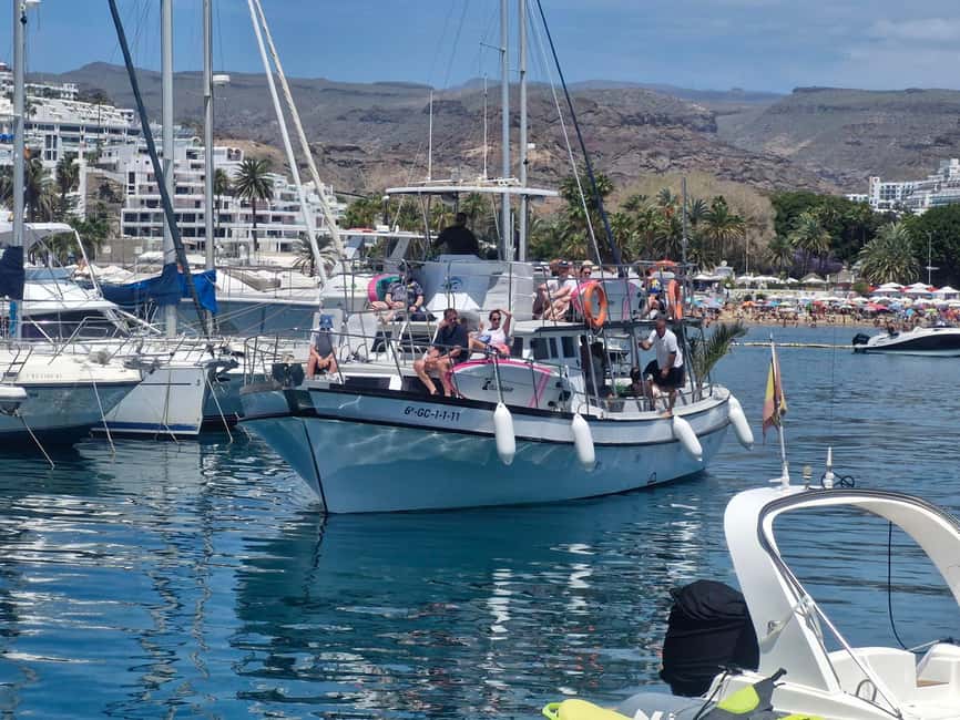 Puerto Rico, Gran Canaria: boat trip, drinks, food, paddle surfing, snorkeling - Is the $56 price good value?