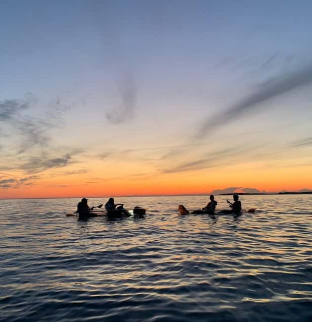 Pula: Cave Sunset/Night Tour in Transparent Kayak - Who should book this Pula night tour?