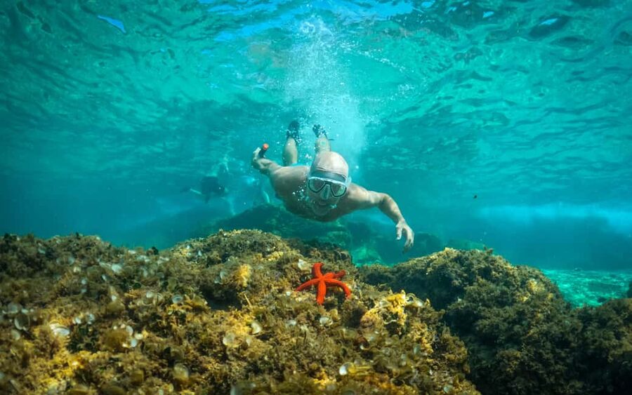 Pula: Kayaking,Snorkeling, Cliff jumping Tour with Wetsuit - Swimming, snorkeling, and time off the kayak