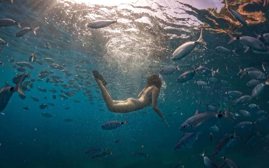 Pula: Kayaking,Snorkeling, Cliff jumping Tour with Wetsuit - Why the $57 price feels fair