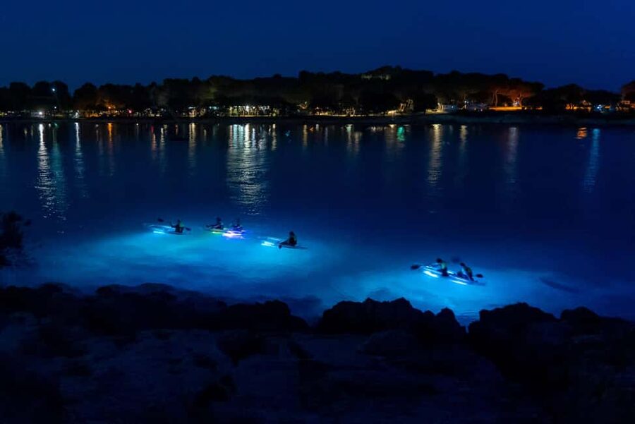 Pula: Night Kayak Tour with Glowing Kayaks - Key points to know before booking