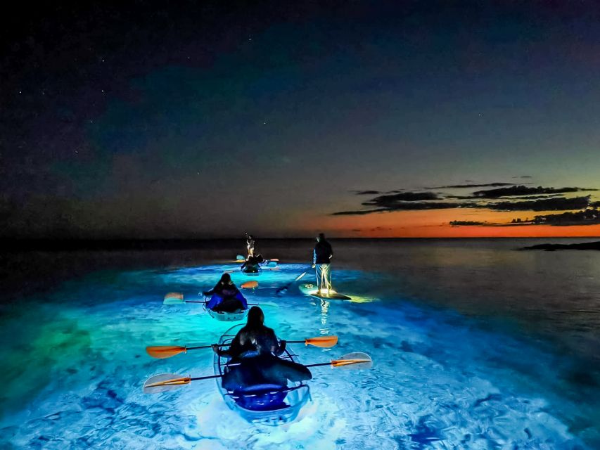 Pula: Night-Time Sea Kayaking Tour in Transparent Kayak - Paddling the Verudela coast as daylight fades