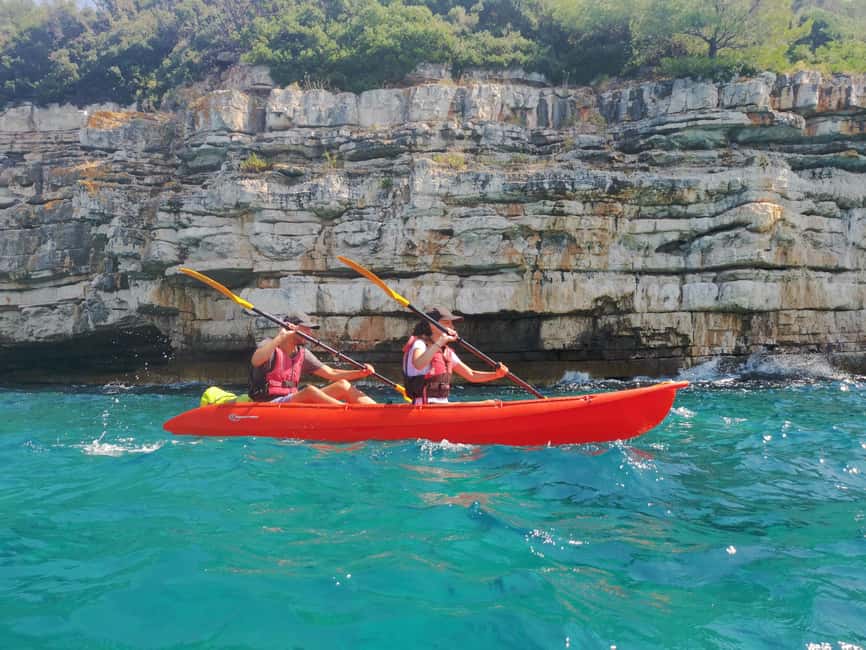 Pula: Sea Adventure – Boat, Kayak, Snorkeling & Cliff Jumps - Seabirds, cormorants, and the chance of dolphins