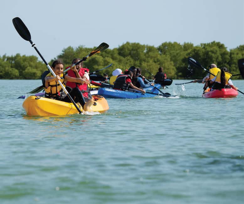 Punta Cana: Los Haitises Hike & Kayaking Mangroves - From Punta Cana to the forests of Los Haitises