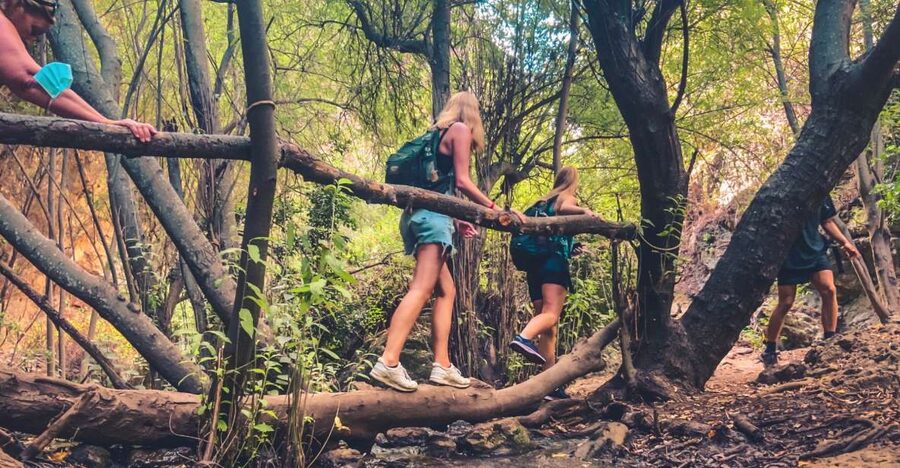 Punta Cana: Los Haitises Hike & Kayaking Mangroves - The guide and group experience