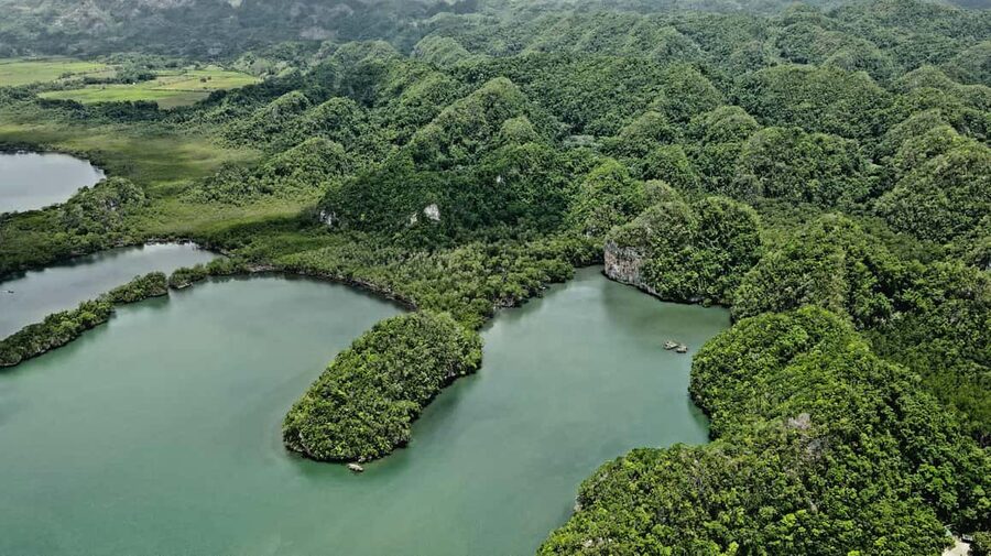 Punta Cana: Los Haitises Hike & Kayaking Mangroves - Who will enjoy this day most?