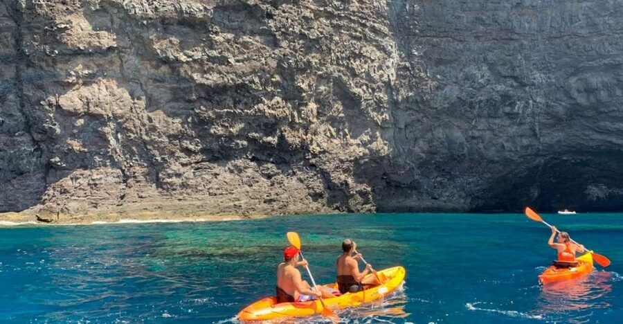 Punta de Teno: Kayak Safari overlooking Los Gigantes Cliffs - Key points to know before you book