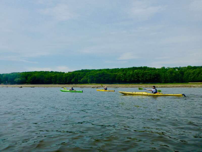 Quebec City: Sea-Kayaking Tour in Orleans Island - Is $65 a fair price?