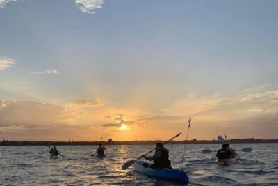 Raby Bay Wildlife Kayak Tour