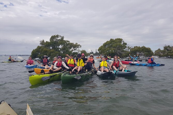 Raby Bay Wildlife Kayak Tour - What the guide adds to the paddle