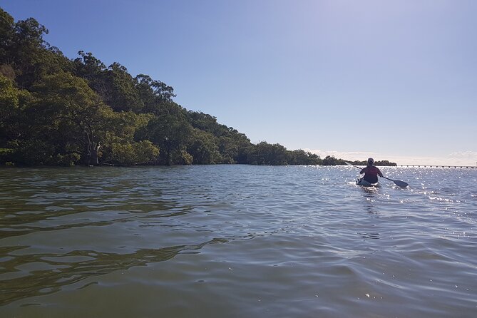 Raby Bay Wildlife Kayak Tour - Timing, access, and weather planning