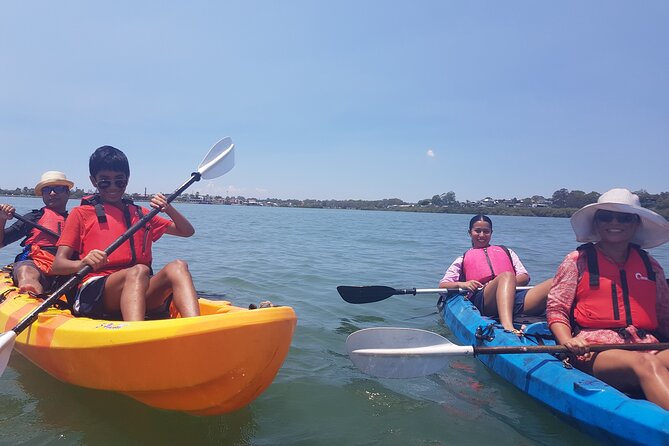Raby Bay Wildlife Kayak Tour - Who will enjoy this Raby Bay outing