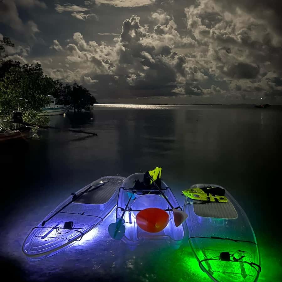 Railay: Illuminated Clear Kayak Night Tour Bioluminescence - Flying foxes, stars, and the turn to night