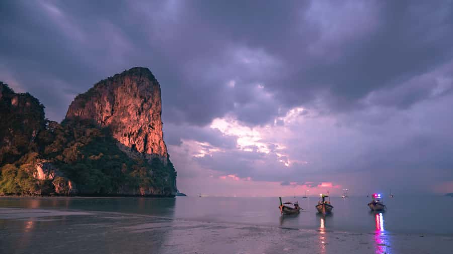 Railay: Illuminated Clear Kayak Night Tour Bioluminescence - What you can see through the clear hull
