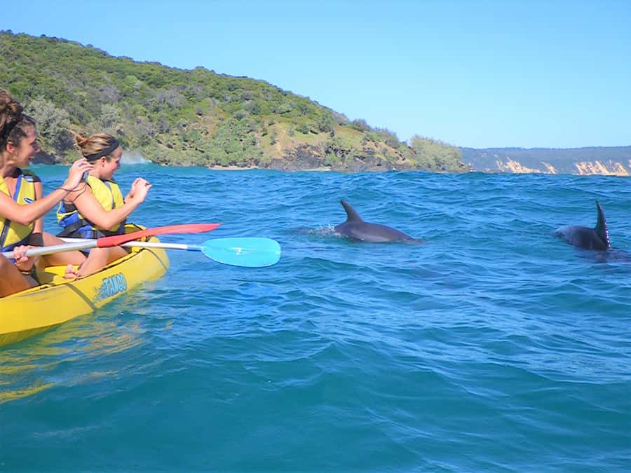 Rainbow Beach: Kayaking with Dolphins and Beach 4WD Tour - Key points at a glance