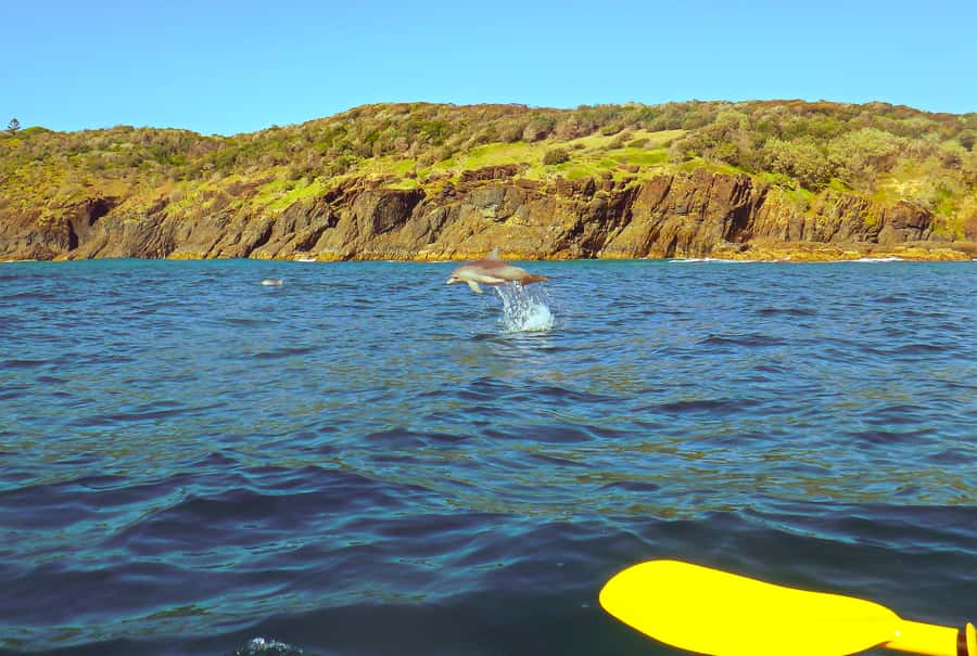 Rainbow Beach: Kayaking with Dolphins and Beach 4WD Tour - Double Island Point from the water