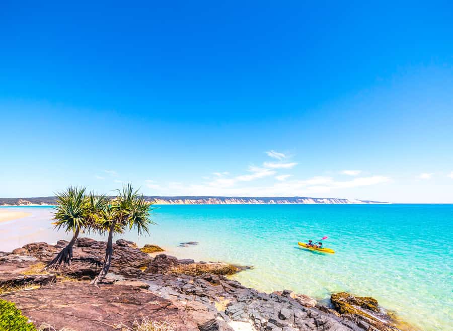 Rainbow Beach: Kayaking with Dolphins and Beach 4WD Tour - Who should book this tour?