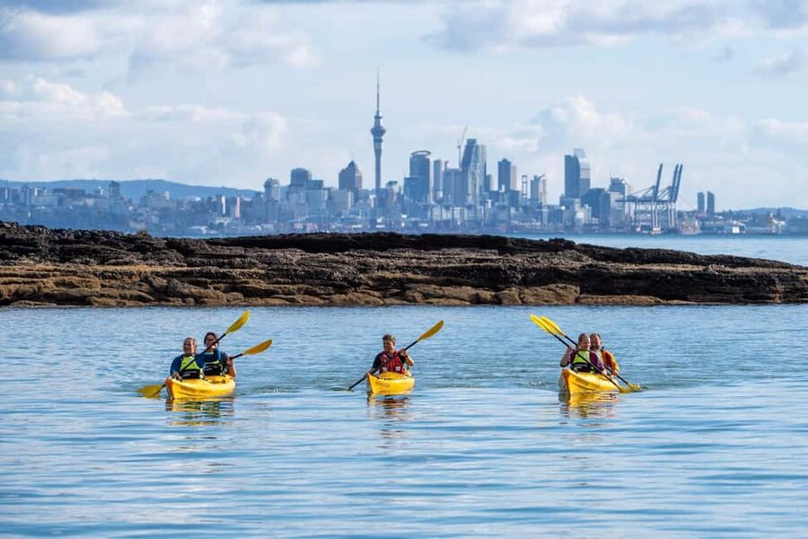 Rangitoto Island: Sea Kayak & Summit Hike Day Trip - Key points to know before booking