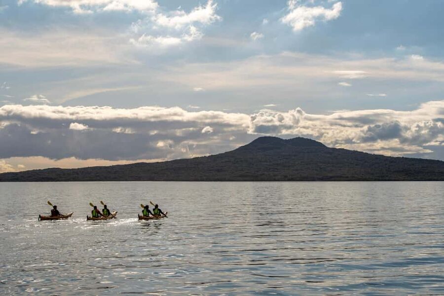 Rangitoto Island: Sea Kayak & Summit Hike Day Trip - The summit view is the payoff