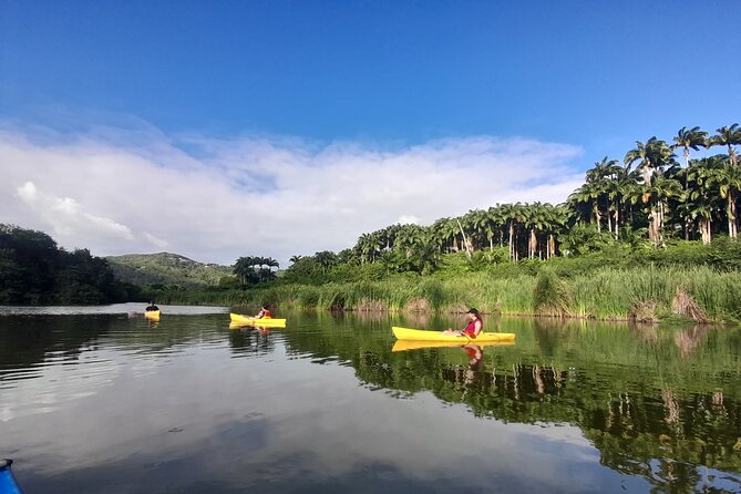 Rental Kayaking or Stand-up Paddle 2H - Key points to know before booking