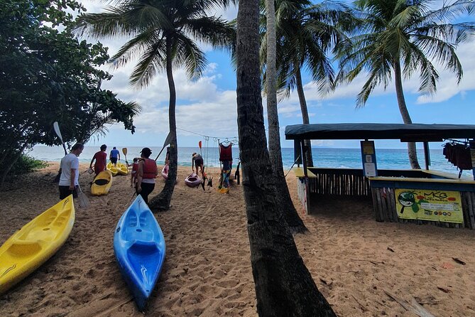 Rental Kayaking or Stand-up Paddle 2H - What the $24.03 price includes