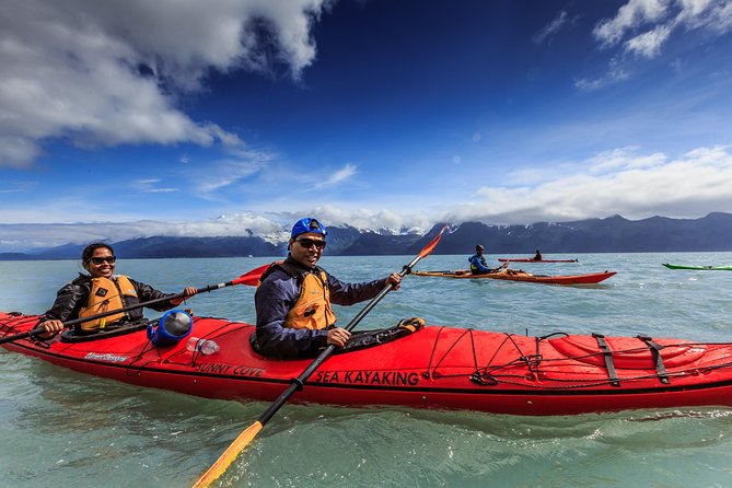 Resurrection Bay Kayaking Adventure - What the Resurrection Bay paddle is really like
