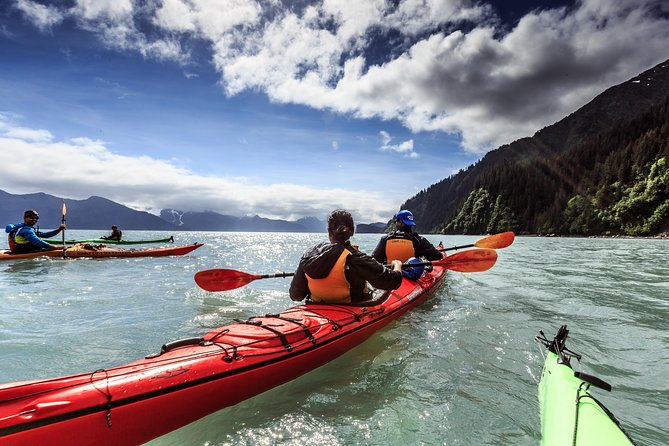 Resurrection Bay Kayaking Adventure - Wildlife along the shoreline