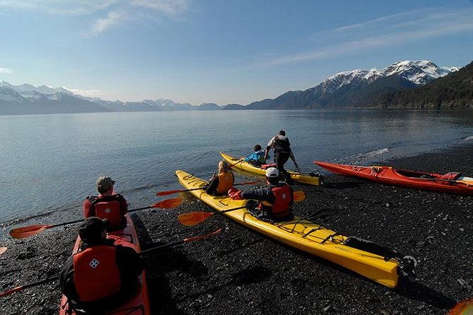 Resurrection Bay Kayaking Adventure - A beginner-friendly route with a gentle workout