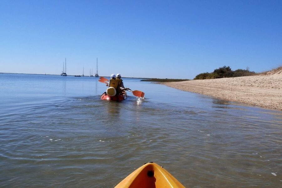 Ria Formosa National Park: Kayak Trip - Birdlife and sea life along the route