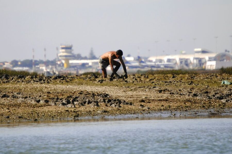 Ria Formosa National Park: Kayak Trip - What the weather means for your comfort