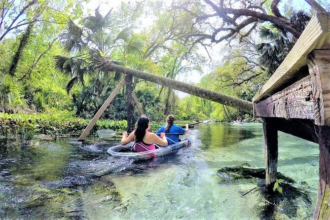 Rock Springs 2-Hour Glass Bottom Guided Kayak Eco Tour - Why the clear kayak changes the experience