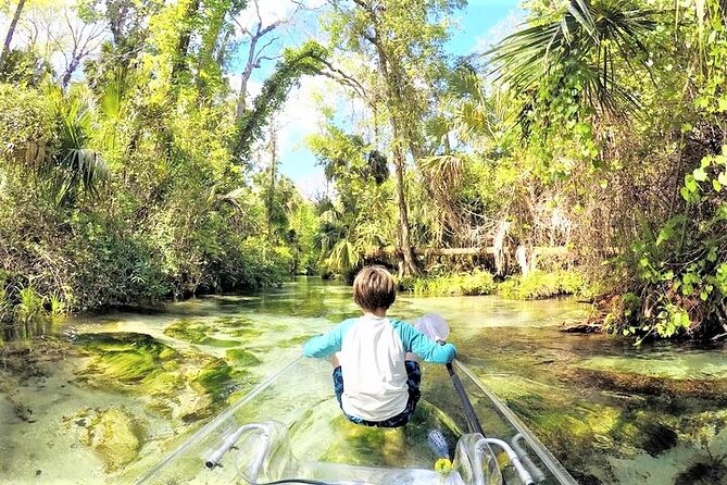 Rock Springs 2-Hour Glass Bottom Guided Kayak Eco Tour - Wildlife watching without false promises