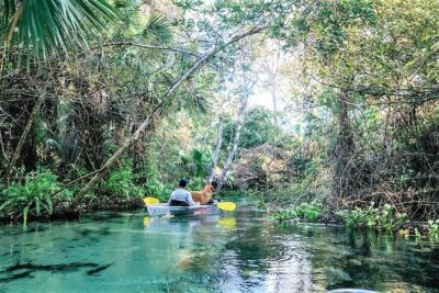 Rock Springs 2-Hour Glass Bottom Guided Kayak Eco Tour