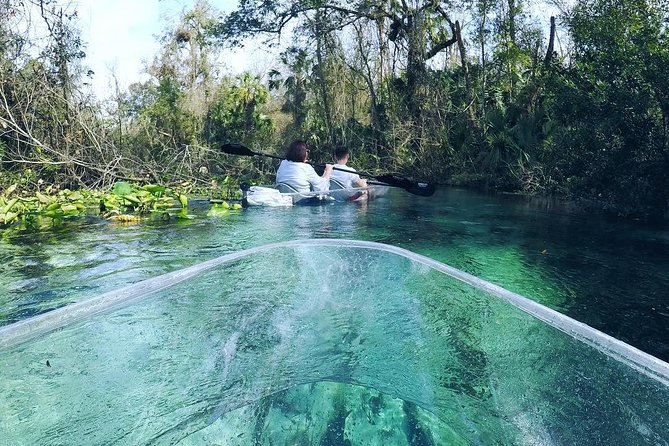 Rock Springs 2-Hour Glass Bottom Guided Kayak Eco Tour - Is $115 per person fair value?