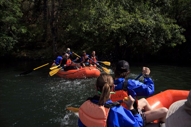 Rogue River Whitewater- All Day Rafting & Kayaking Adventure - Meeting in Ashland at 9:00 am
