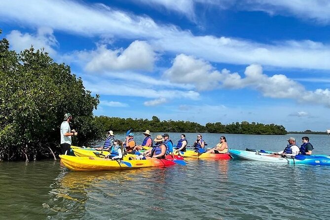 Rookery Bay Kayak Adventure – Mangroves, Wildlife & Photos - Guides who make the ecology easy to follow