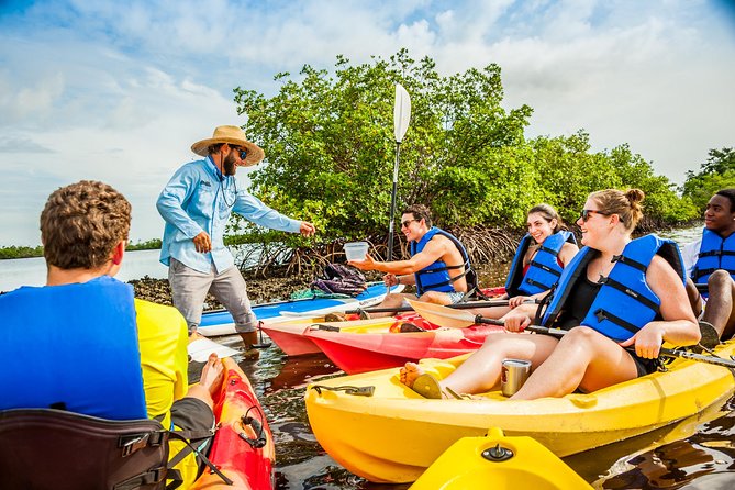 Rookery Bay Kayak Adventure – Mangroves, Wildlife & Photos - Photos, gear, and what to pack