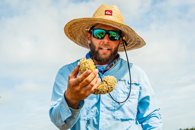 Rookery Bay Kayak Adventure – Mangroves, Wildlife & Photos - Value, timing, and practical tradeoffs