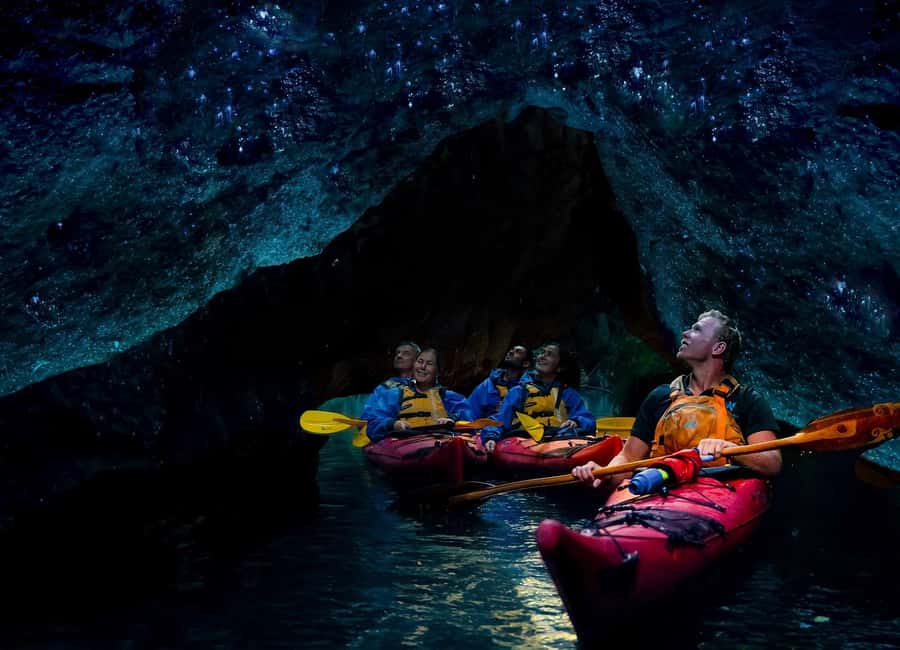 Rotorua: Evening Starlight Gourmet Kayak Tour with dinner - Is $209 a fair price?