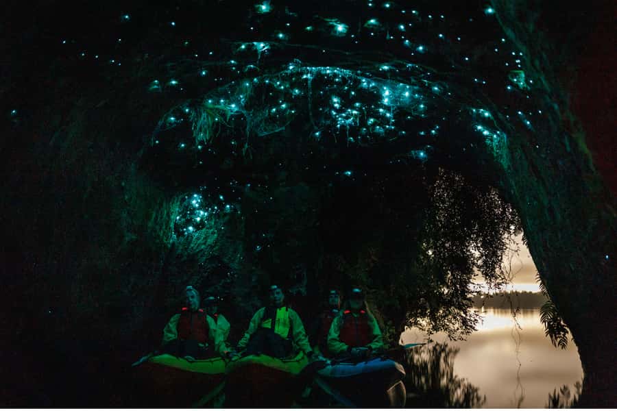 Rotorua: Glow Worm Adventure Kayak - Key points at a glance