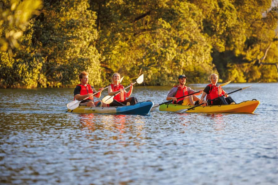 Rotorua: Glow Worm Adventure Kayak - Why this Rotorua night trip feels different