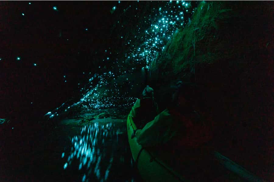 Rotorua: Glow Worm Adventure Kayak - Entering the glow worm caverns