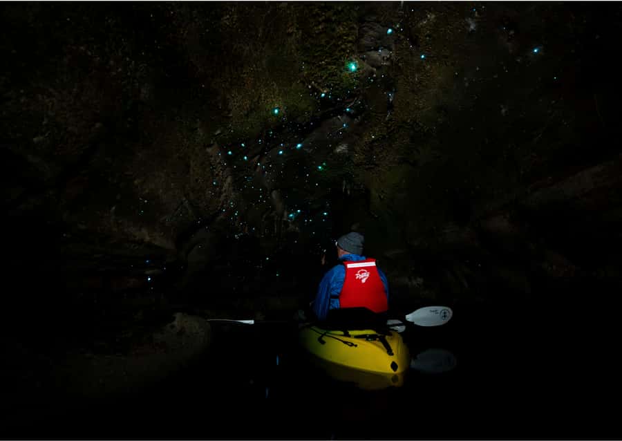 Rotorua: Glow Worm Kayak Tour - Darkness brings the main adventure